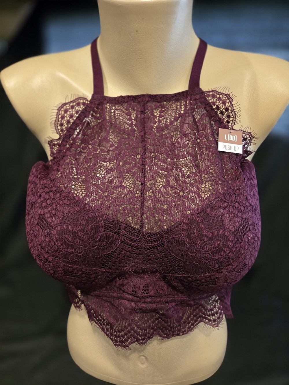 NWT Victoria's Secret Lace High-Neck Bralette